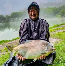 Pacu