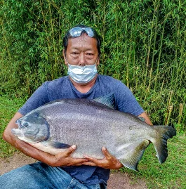 Pacu
