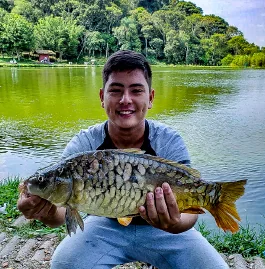 Carpa