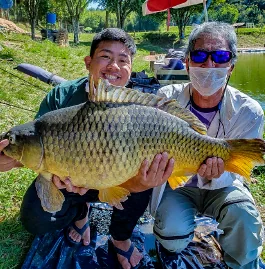 Carpa