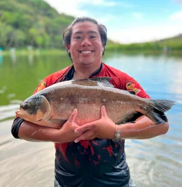 Tamba de 5 a 10 kg